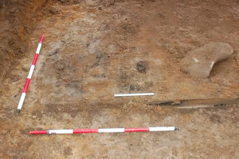 Hearth-like deposit in Trench 7 - 0.3 m scale indicates area of concentrated burnt bone