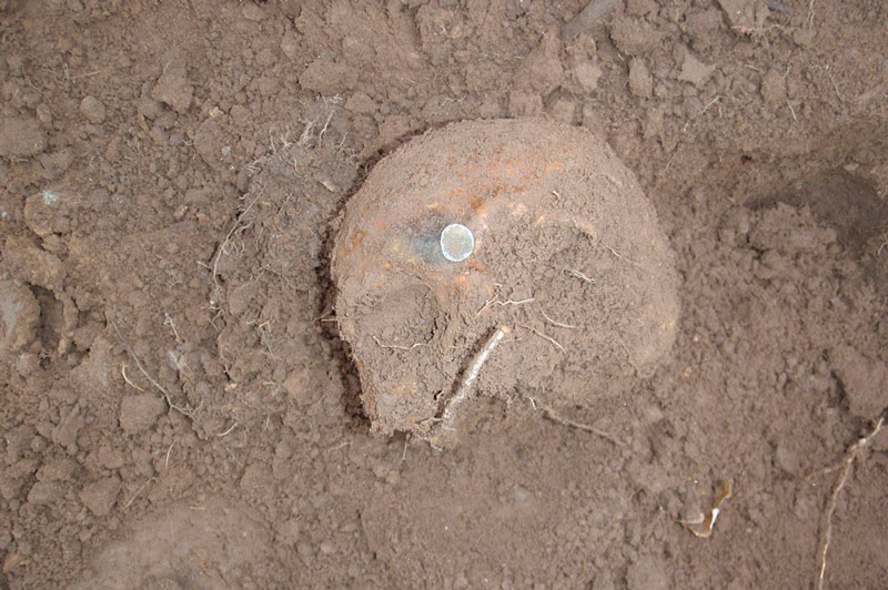 Disarticulated skull with coin in situ