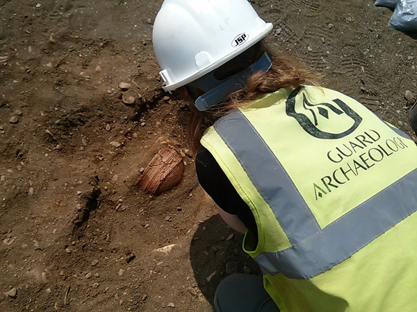 Neolithic/Bronze Age Beaker Find