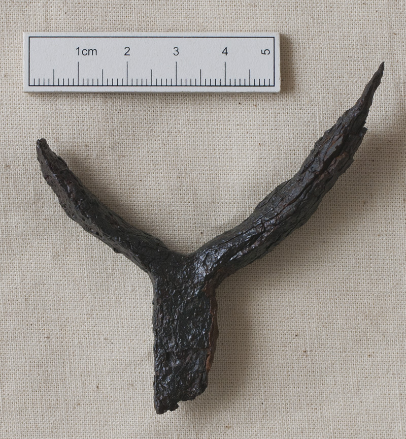 Fragmentary medieval spur from Redhall