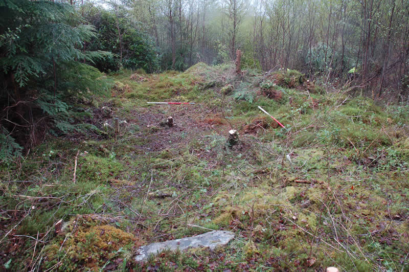 Recording of extensive horseshoe bloomery mound at Allt na Ceardaich I, Loch Eck